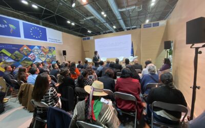 Otra decepción más: la cumbre del clima de 2019 (COP 25)