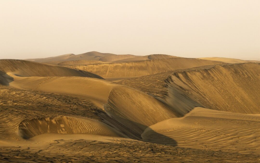 Motivaciones en relación al clima. ¿Se sabe cómo hacerlas más efectivas?